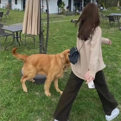 霸王谷粤语